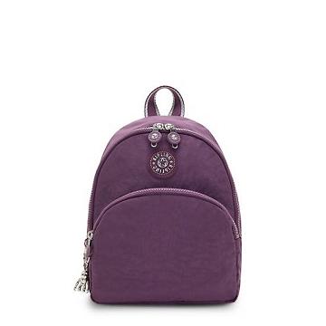 Mochilas Kipling Paola Small Morados | MX 1598SG